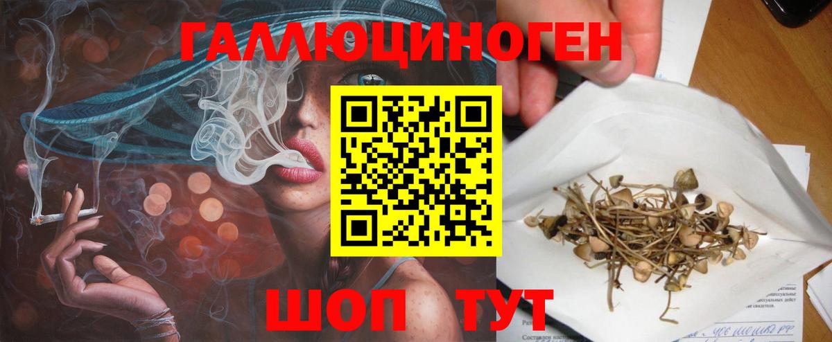 Отрадное  Псилоцибиновые грибы MAGIC MUSHROOMS  Вход с VPN  Галлюциногенные грибы Cubensis 